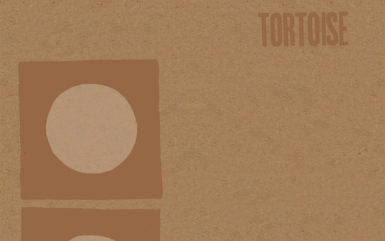 tortoise