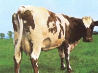 Pink Floyd’s ‘Atom Heart Mother’: 50 Years Gone