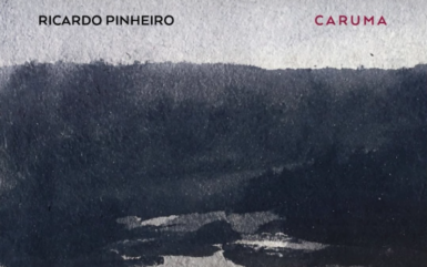 Ricardo Pinheiro