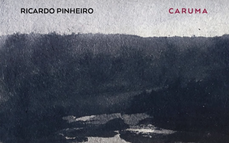 Ricardo Pinheiro - 'Caruma' (2020)