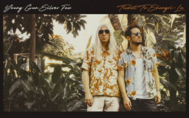 Young Gun Silver Fox