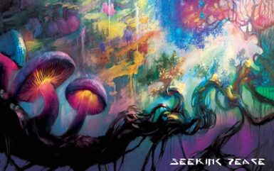 Prog Collective