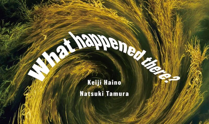 Keiji Haino + Natsuki Tamura - 'What Happened There?' (2025)